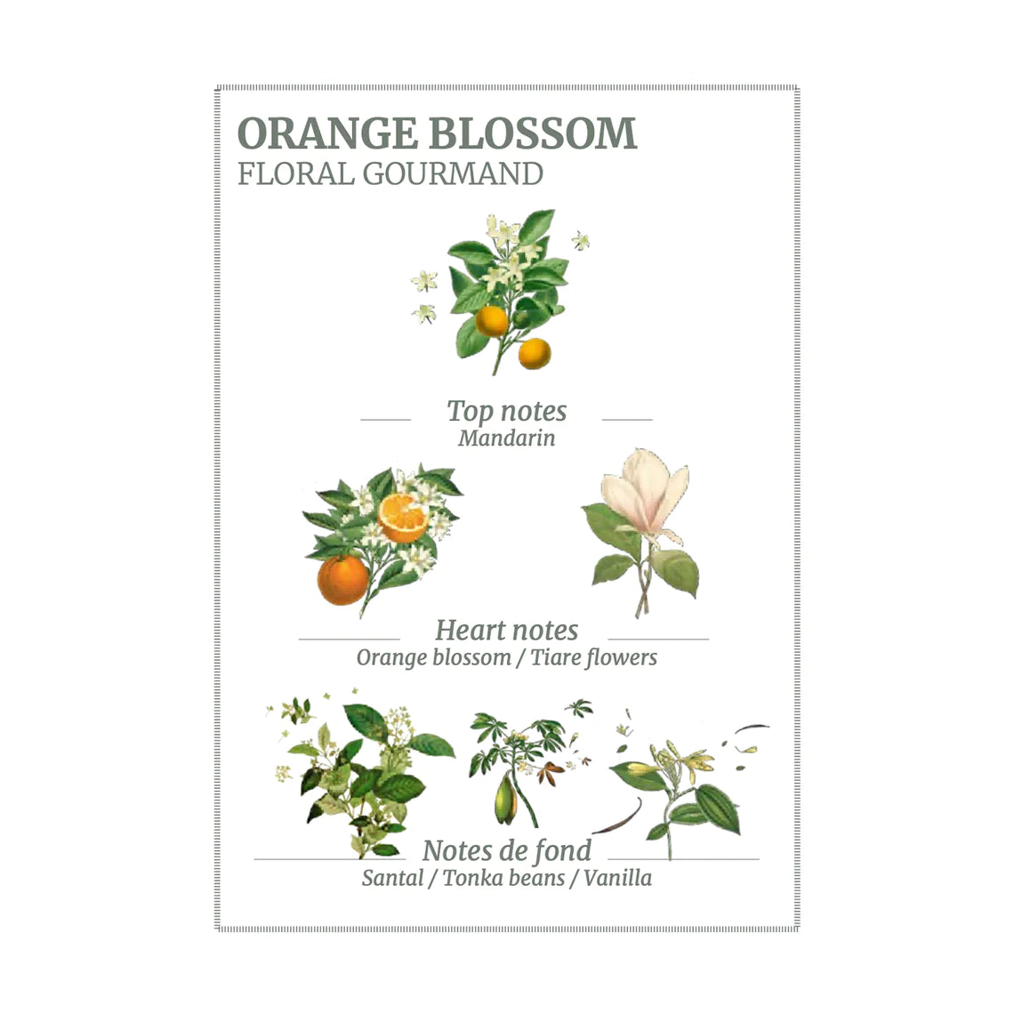 Panier Des Sens Liquid Soap 'Orange Blossom'