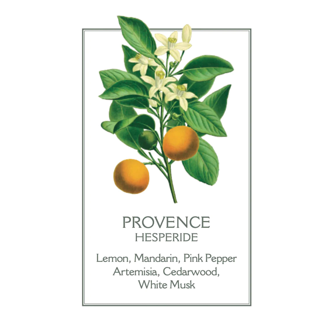 Panier Des Sens Marseille Liquid Soap In Glass 'Provence'