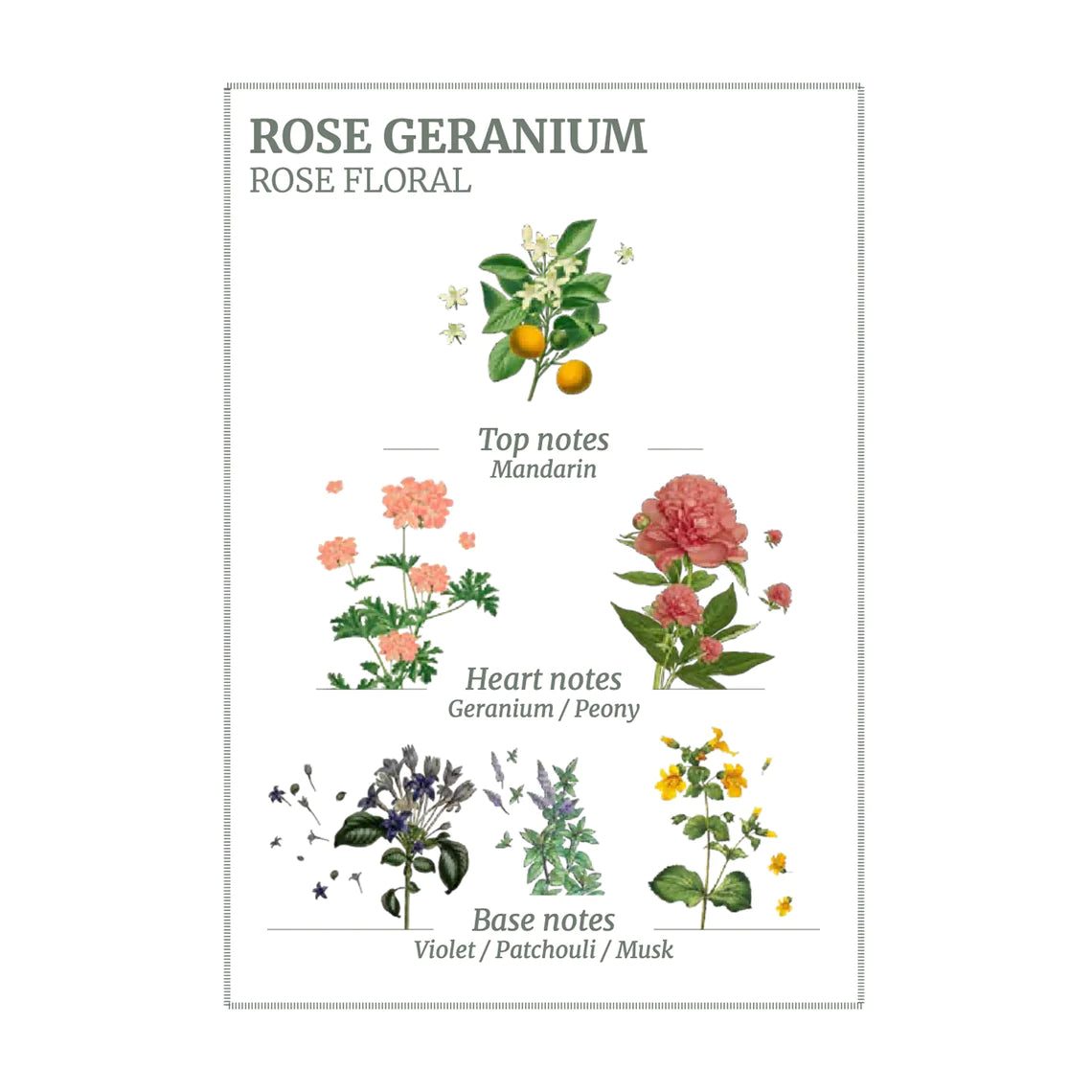 Panier Des Sens Body Lotion 'Rose Geranium'